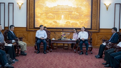 Група BaoWu Iron and Steel пропонує розширити виробництво в Хюе