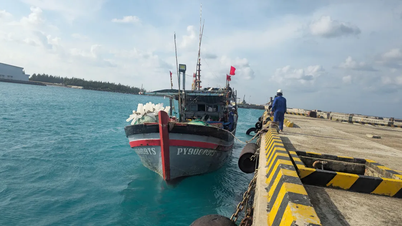 Skuadron 129 membantu kapal nelayan yang mengalami masalah di Truong Sa