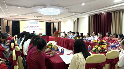 Summary of activities of the Library Association of North Central provinces