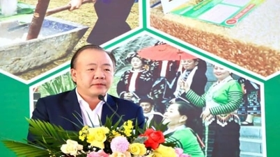 লাই চাউতে জাতিগত সংখ্যালঘু পণ্য উৎসবের উদ্বোধন