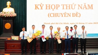 Ho Chi Minhstad heeft drie nieuwe vicevoorzitters van het Volkscomité