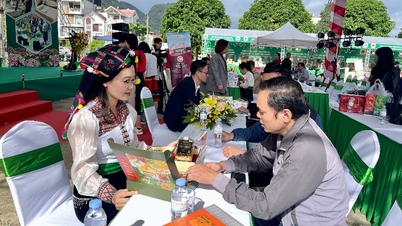 Directe verbindingssessie tussen leveranciers en bedrijven