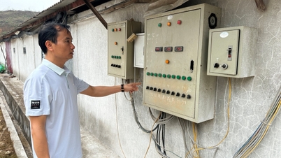 Digitale transformatie: gebruik de modernisering van de Thaise Nguyen-veehouderij