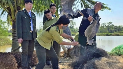 Meer dan 4.000 wilde dieren van onbekende oorsprong in Phu Tho