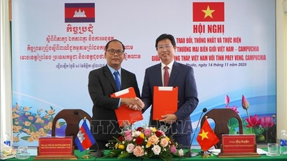 Usnadnit pohyb zboží přes hranice