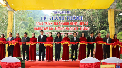 特別国宝ハンタムコーの修復が完了