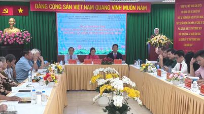 ダン・ドゥン113A番地の史跡：人々の心の生きた証