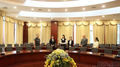 Les infrastructures d'hébergement sont prêtes à accueillir les visiteurs pendant le Festival de la rivière Rouge.