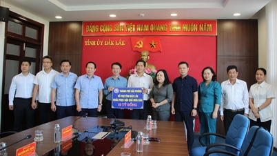 Thành phố Hải Phòng hỗ trợ 10 tỷ đồng giúp Đắk Lắk khắc phục hậu quả sau bão