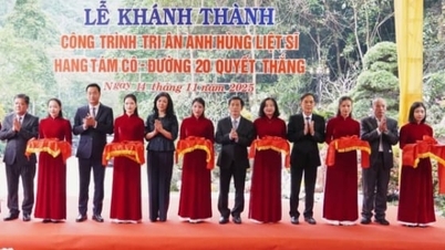 Inauguration of the project to restore the special national relic of Tam Co Cave