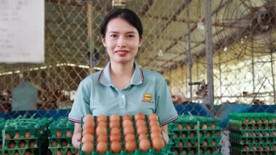 Vietnamské podniky jsou průkopníky ve výrobě pasterizovaných tekutých vajec podle humánních standardů