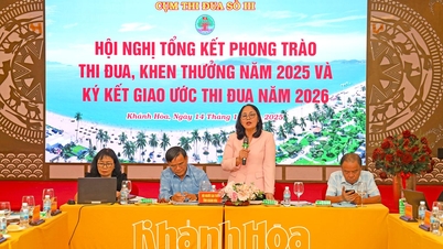 Emuleringskluster nr III - Vietnams äldreförening sammanfattar emulerings- och belöningsrörelsen år 2025