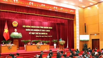 Quang Ninh spendeert meer dan 1.700 miljard VND aan de implementatie van een schoolmelksteunbeleid