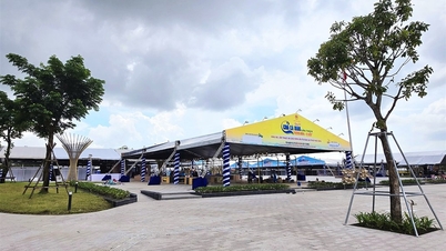 Regulament privind spațiul de expunere și expoziție la Festivalul Crabului Ca Mau - a doua oară în 2025