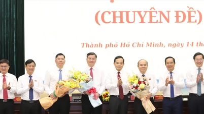 Ho Chi Minh City ma 3 nowych wiceprzewodniczących Miejskiego Komitetu Ludowego