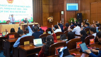 응우옌 민 푸 씨가 디엔비엔 성 인민위원회 부위원장으로 선출되었습니다.