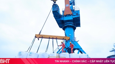 ក្រុមហ៊ុនភាគហ៊ុនកំពង់ផែអន្តរជាតិឡាវ-វៀតណាមប្រកួតប្រជែងកម្លាំងពលកម្មដើម្បីអបអរសាទរខួបលើកទី៥០នៃទិវាជាតិនៃសាធារណរដ្ឋឡាវ