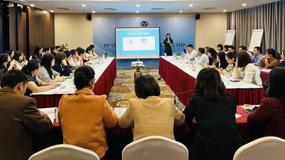 Het Centrale Centrum voor Gezondheidseducatie en Communicatie verzorgt directe trainingen over 'Gezondheidseducatieconsultatie' voor gezondheidsfunctionarissen in de provincies Cao Bang, Lai Chau, Son La en Lang Son.