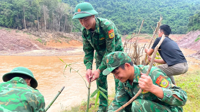 ভূমিধস রোধে বাঁশ রোপণ, সীমান্তবর্তী গ্রামগুলির মানুষের জীবিকা নির্বাহ এবং অর্থনীতির উন্নয়নে সহায়তা করা