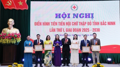 ផ្តល់រង្វាន់ដល់សមូហភាព និងបុគ្គលចំនួន ៧៩ នាក់ ដែលមានសមិទ្ធិផលក្នុងការងារមនុស្សធម៌