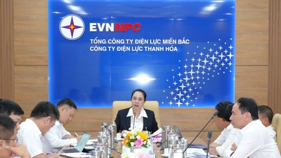 សាជីវកម្មថាមពលភាគខាងជើង៖ ខិតខំប្រឹងប្រែងយ៉ាងទូលំទូលាយដើម្បីឈានទៅដល់ទីបញ្ចប់ ឆ្ពោះទៅរកដំណាក់កាលអភិវឌ្ឍន៍ថ្មី។