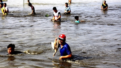 ឃ្លីប៖ ការ​ប្រកួត​ចាប់​ទា​ប្លែកៗ​ក្នុង​រដូវ​ទឹក​ជំនន់​នៅ​ខេត្ត An Giang