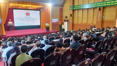 នាំយកគោលនយោបាយជំនួយផ្នែកច្បាប់កាន់តែជិតស្និទ្ធជាមួយប្រជាជននៅ Thanh Hoa