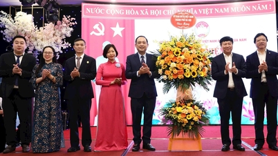 ផ្សព្វផ្សាយកម្លាំងនៃសាមគ្គីភាពដ៏អស្ចារ្យពីវួដ Cua Nam