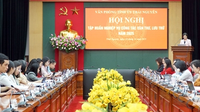 មនុស្សជាង 300 នាក់បានចូលរួមវគ្គបណ្តុះបណ្តាលស្តីពីការគ្រប់គ្រងឯកសារ និងបណ្ណសារ។