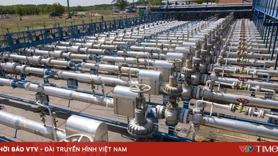 Strøm- og gasspriser i Europa: Hvilket land er dyrest?