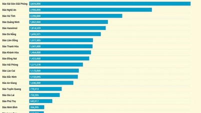 روزنامه الکترونیکی جیانگ همچنان از نظر ترافیک، در منطقه دلتای مکونگ پیشرو است.