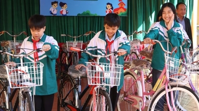 Biciclete care poartă vise verzi