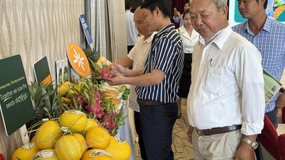 Mengubah minda pengurusan koperasi, memperkasakan petani
