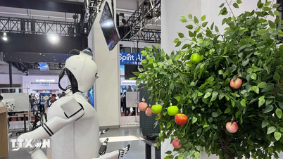 אמזון: רובוטים אנושיים עדיין רחוקים מהחלפת עבודה ידנית