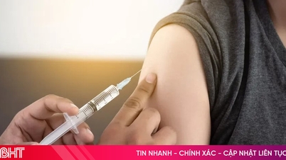 HPV 백신 2026년부터 무료화된다