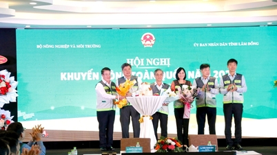 Sambungan pertanian peringkat komune mesti diberikan kepada bidang yang betul.