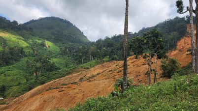 Da Nang: Aardverschuiving in grensgemeente, meer dan 200 mensen dringend geëvacueerd