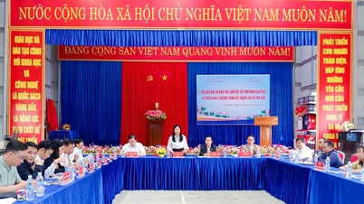 El Departamento de Educación y Formación de Da Nang apoya a la comuna de Tra Van para promover la transformación digital, la formación profesional y la gestión en el sector educativo.