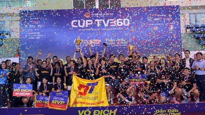 Determinați campionul național de baschet universitar