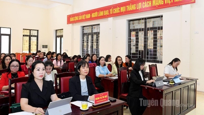 El 100% de los centros preescolares participan en actividades profesionales para mejorar la calidad de la educación infantil.