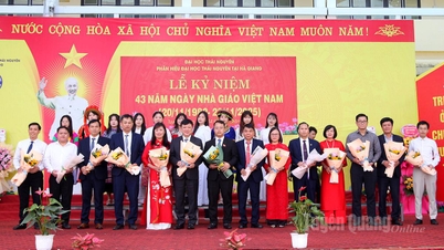 ہا گیانگ میں تھائی نگوین یونیورسٹی برانچ نے ویتنامی یوم اساتذہ منایا