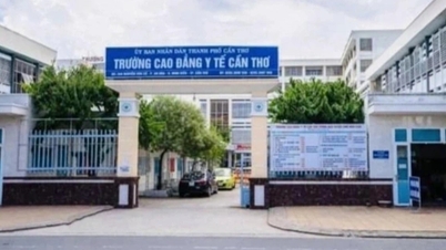 Plan de organización escolar en Can Tho