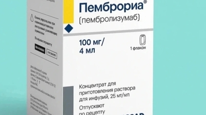 Pembroria bukanlah ubat khusus yang boleh menyembuhkan kanser.