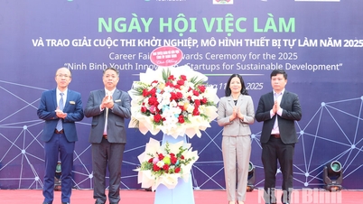 ງານ​ວາງສະ​ແດງ​ວຽກ​ເຮັດ​ງານ​ທໍາ​ແລະ​ພິທີ​ມອບ​ລາງວັນ​ຂອງ​ການ​ແຂ່ງຂັນ​ເລີ່ມ​ຕົ້ນ, ຕົວ​ແບບ​ອຸປະກອນ DIY 2025