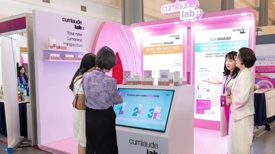 Cumlaude Lab អមដំណើរសន្និសិទសម្ភព និងរោគស្ត្រីវៀតណាម - បារាំង ឆ្នាំ 2025 រួមចំណែកលើកកំពស់គុណភាពនៃការថែទាំសុខភាពសម្រាប់ស្ត្រីវៀតណាម។