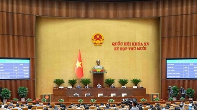 האסיפה הלאומית אישרה החלטה על תוכנית הקצאת התקציב המרכזית לשנת 2026.