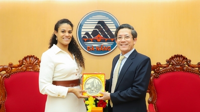 ទីក្រុង Da Nang ណែនាំពីសក្ដានុពលអភិវឌ្ឍន៍ ដើម្បីទាក់ទាញអាជីវកម្មហូឡង់មកបណ្តាក់ទុន