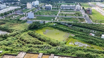 ការរំលោភបំពានជាច្រើននៅគម្រោងទីក្រុងនៅ Can Tho