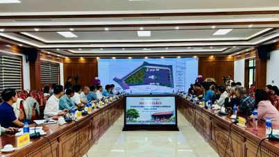 កែលម្អ និងជួសជុលប្រាសាទ Dai An ឱ្យបានត្រឹមត្រូវ និងតាមបែបវិទ្យាសាស្ត្រ ដើម្បីលើកតម្កើងតម្លៃសារីរិកធាតុ។