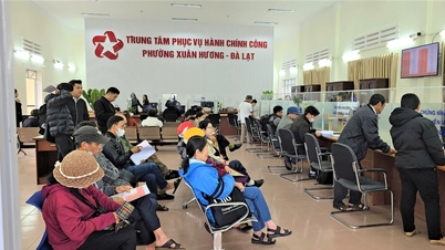 Lam Dong conducts sociological survey to determine PAR Index in 2025
